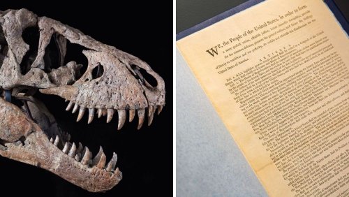 Dinosaur skulls & the US Constitution: Rare luxury items go on sale at Sotheby's