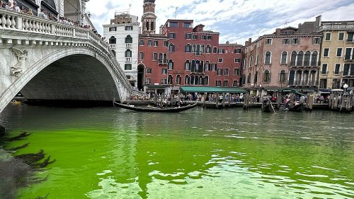 Rätsel in Venedig: Das Wasser des Canal Grande ist strahlend grün verfärbt