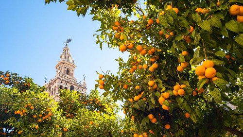 Visit Andalusia for a taste of southern Spain’s sun, sea and celebration