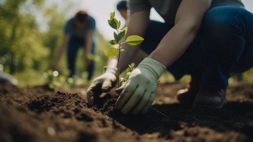 Studie zum Earth Day: Der Klimawandel verliert in Deutschland an Bedeutung