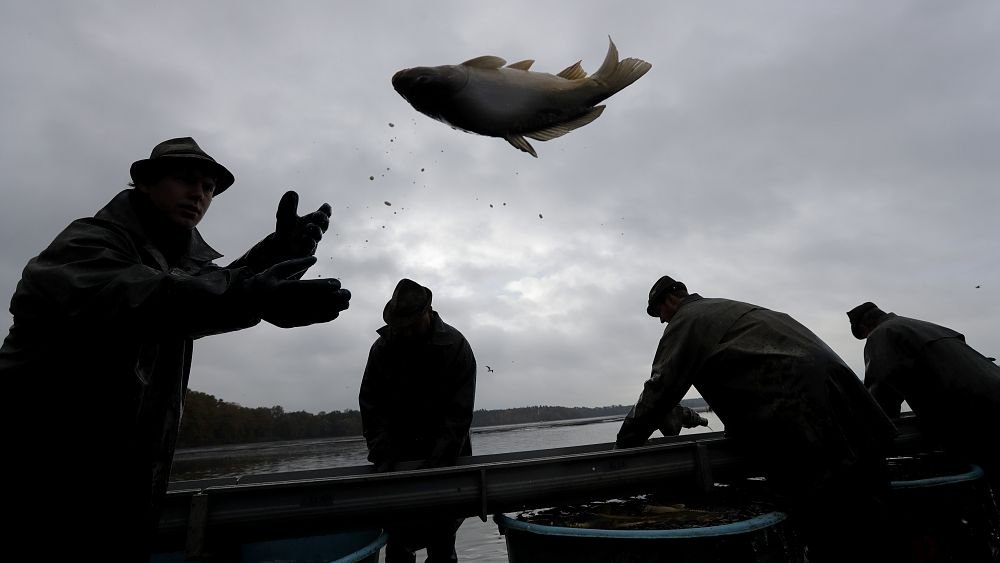 Christmas across Europe: Carp in your bathtub and other Czech traditions