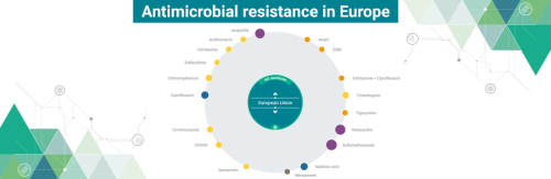Antimicrobial resistance in Europe