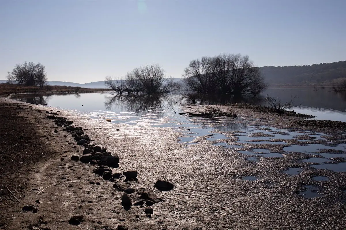 Puentes Digitales. Sostenibilidad Y Cambio Climático. Marzo 2022 - cover