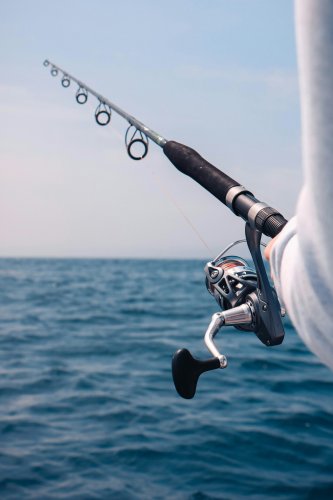 The Best Sea Fishing Destinations for Your Next Adventure