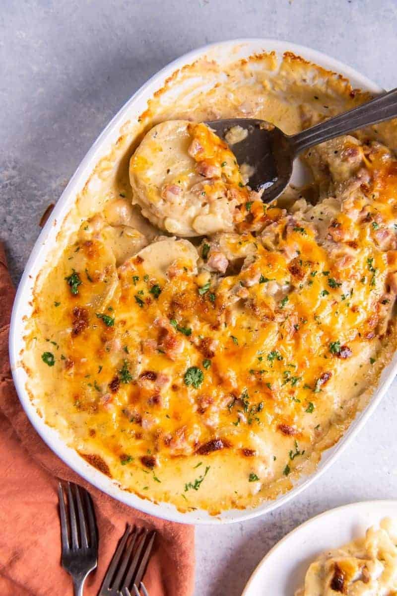 7 Easy and Cozy Casseroles to Make This Winter - cover