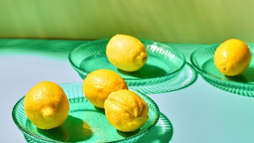 Lemons 101: A Complete Guide