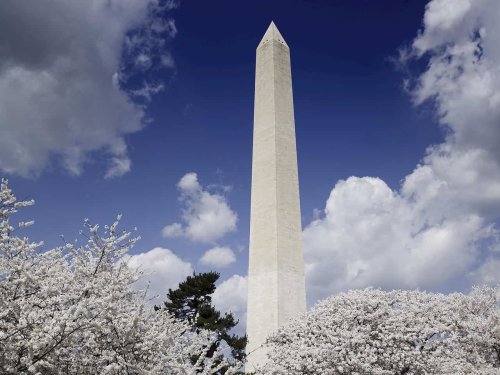 Best Places to Stay in Washington DC Based on Your Itinerary - Everyday Wanderer