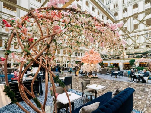 9 DC Hotels That Will Make Your Cherry Blossom Trip Unforgettable