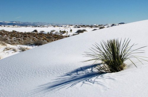9 Things to do When You Visit White Sands National Monument