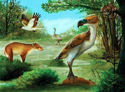 Uccello del terrore scoperto in Antartide: era il predatore più temuto dell'Eocene