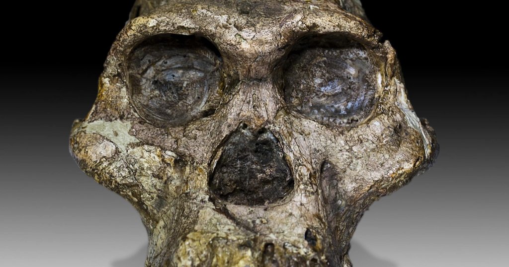 Human Origins - cover