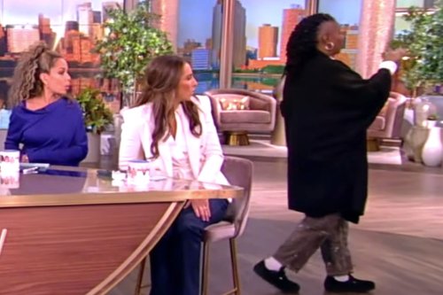 The View audience member says Whoopi Goldberg stopped physical confrontation over man recording show on phone