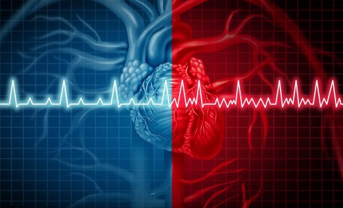 Elad Anter Shed Light On The Use Of New Techniques In Catheter Ablation To Treat Atrial Fibrillation - Healthcare Business Today