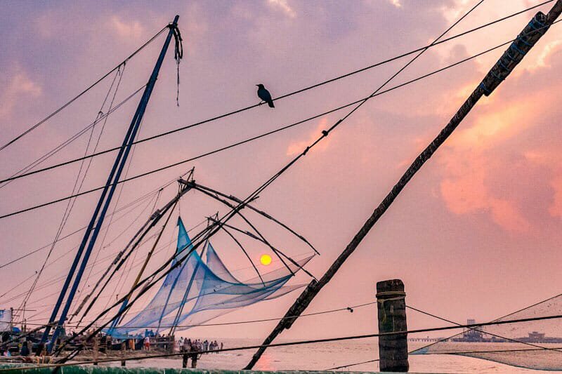 The Best Things to Do in Fort Kochi (Cochin), India - Brogan Abroad