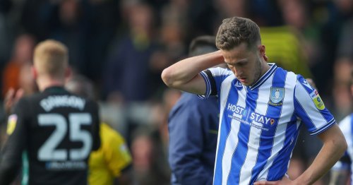 'I wasn't surprised' - Sheffield Wednesday man Will Vaulks frustrated at international snub