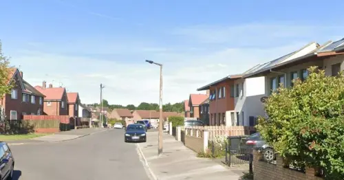 Armed police called to deadly pocket bully attack in Rotherham