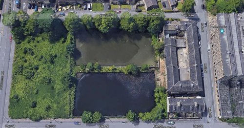 Thirty year battle to save Newsome Mills ponds ends in defeat