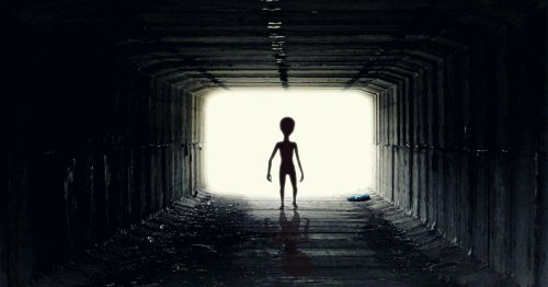 Scientists hold 'dress rehearsal' of our first contact with alien life