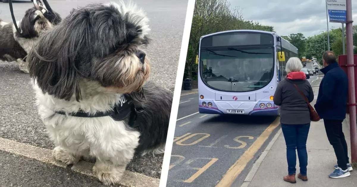 'We are a no narky Yorkshire commuter suburb but traffic is now so slow it is better to walk to town'