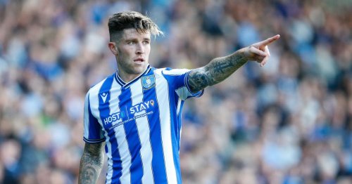 Sheffield Wednesday's hectic October fixture list assessed as League One starts to take shape