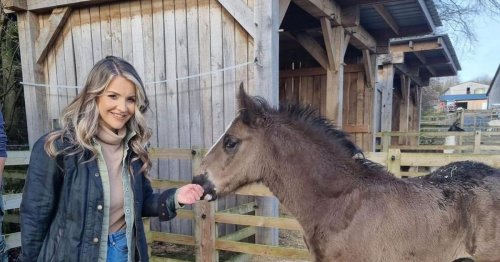 Helen Skelton to be back on screen presenting popular Channel 5 Yorkshire show