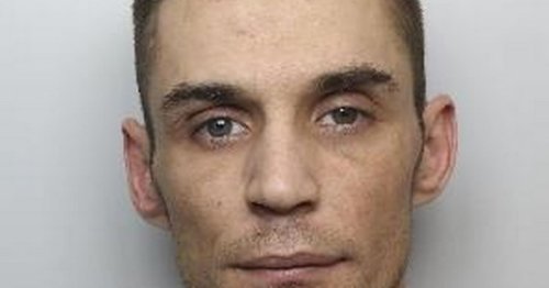 'Bungling' getaway driver took burglars to wrong house to steal cannabis