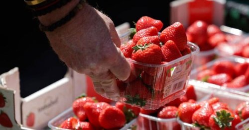 UK strawberry warning at Tesco, Sainsbury's, M&S and Asda as experts 'seen nothing like it in 19 years'