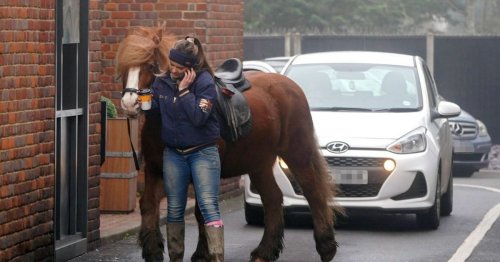 Moment woman rocks up at McDonald's drive-thru - on a horse