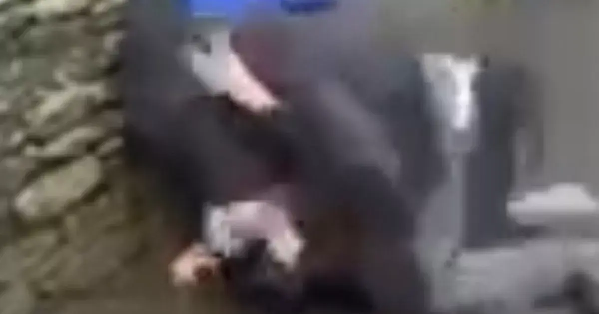Moment dad slaps, bites, and kicks teen outside Huddersfield school after shouting 'do you want some'