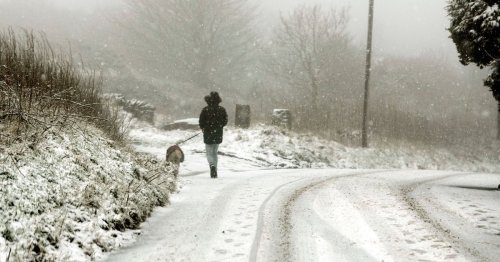 Met Office snow warnings for swathes of UK as up to 10cm could fall