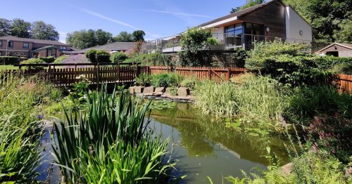 'Devastating' job cuts hit Huddersfield's Kirkwood Hospice as 'perfect storm' prompts downsize