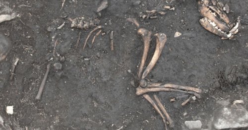 The weird things dug up by crews working on the A1 in Yorkshire
