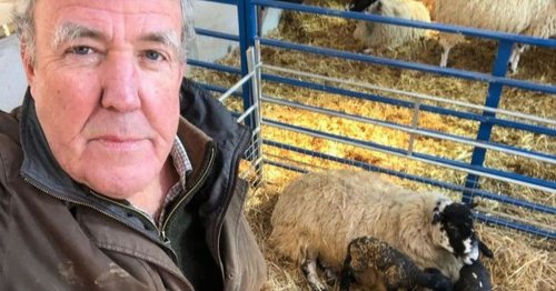 Jeremy Clarkson triggers biggest property search boom of 2021