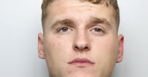 Drug dealing teen caught selling cocaine at Leeds Festival hit security guards as they tried to stop him