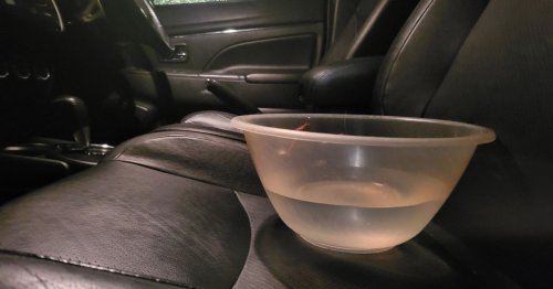 Motorists being urged to drive with a bowl of water in car this winter