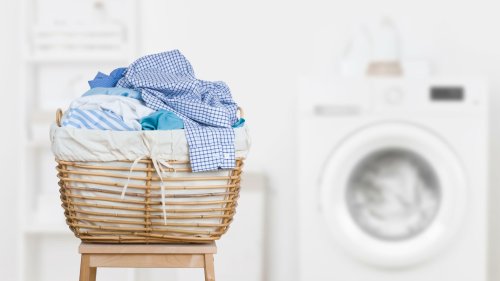 Don’t risk damp and health issues: know how to dry clothes indoors safely