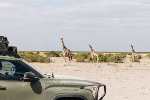 10 Things to Know About Overlanding Botswana