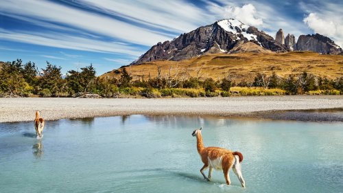 Beautiful South American Destinations To Visit In January, According To Travelers