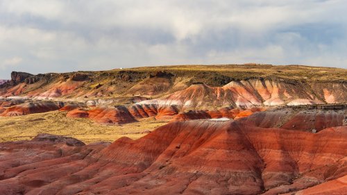 Arizona's Awe-Inspiring National Park Boasts Fossils And The Most Colorful Desert Scenery