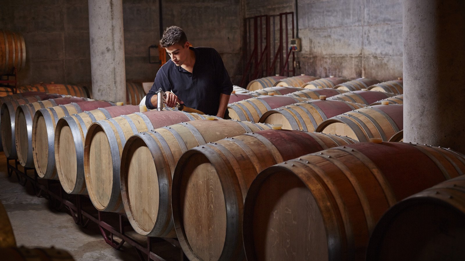 This Less-Visited European Country Is The Best Destination For High-Quality Cheap Wine
