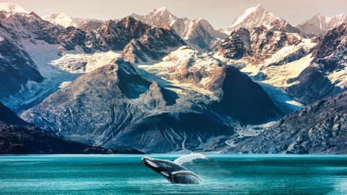 14 Must-See Places In Alaska For First Time Visitors