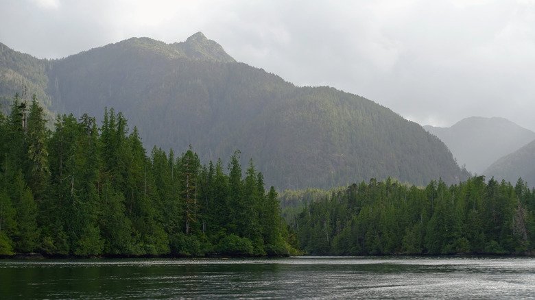 One Of North America's Least Visited National Parks Is A Remote Recreation Gem - cover