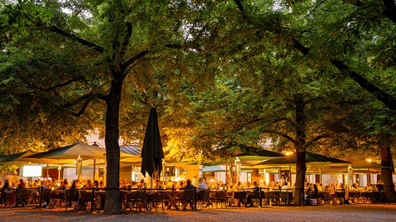 4 Unwritten German Beer Garden Rules American Tourists Break Within The First 10 Minutes