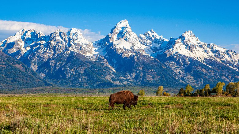 America's Most Outdoorsy State Of 2026 For Scenic Recreation Isn't California - cover