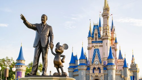 How Disney World Stays Mosquito Free