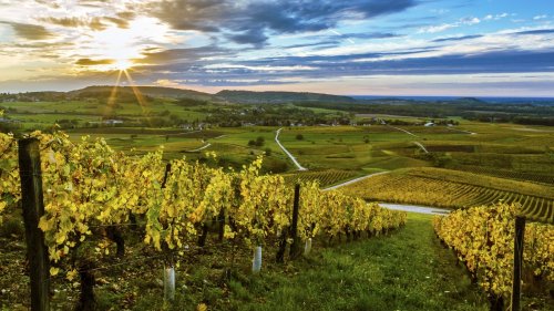 This Under-The-Radar French Region Is The Perfect Wine Vacation Spot