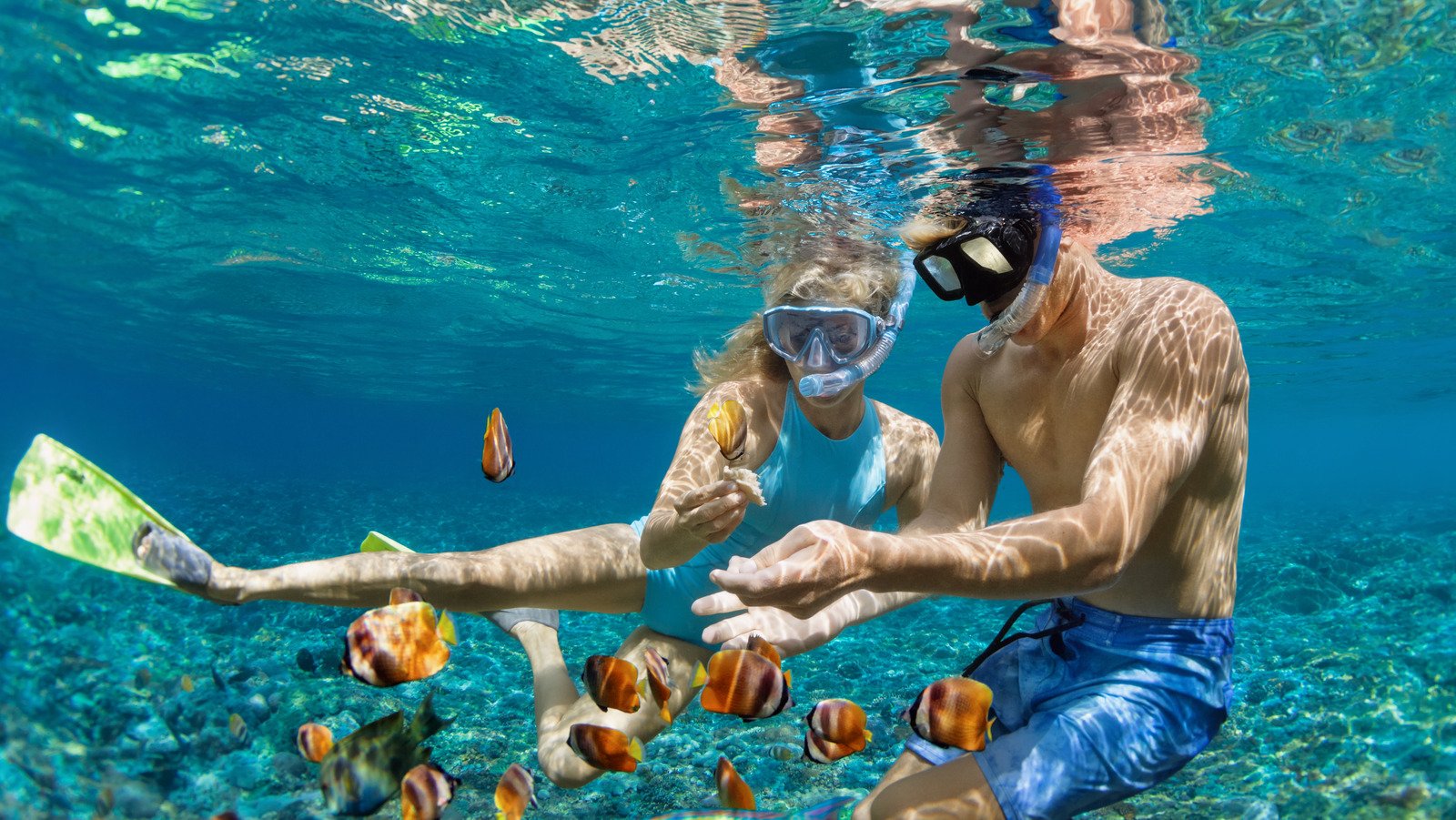 Most Beautiful US Beaches For Snorkeling