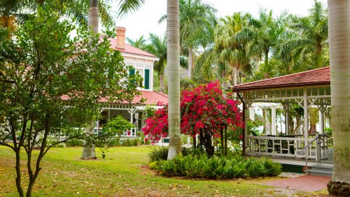 A Local Shares Florida's Most Magnificent And Highly-Rated Botanical Gardens