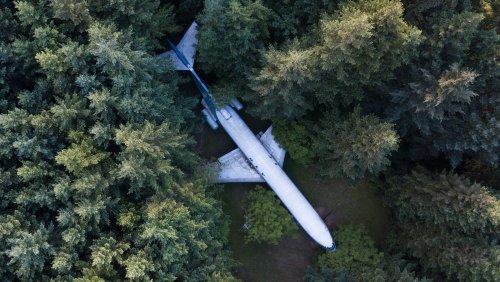 This Airplane Home In A Pacific Northwest Forest Is A One-Of-A-Kind Attraction