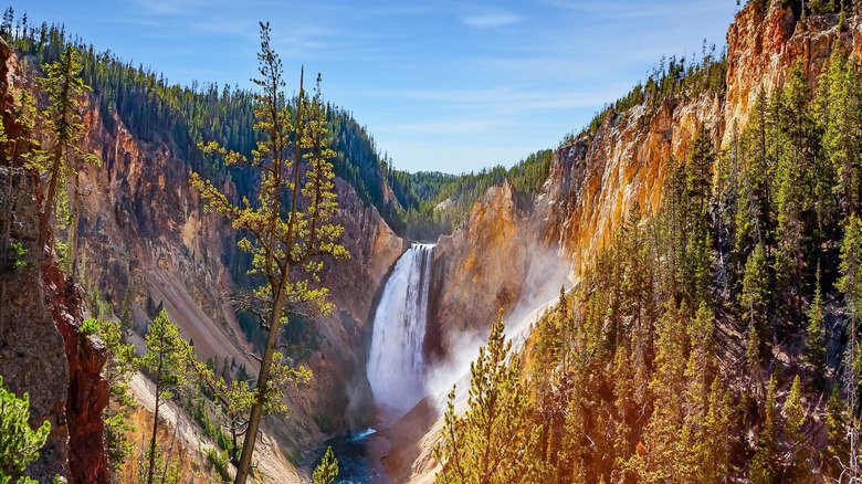 Not Yosemite, Not Grand Canyon: This National Park Has The Most Hotel Lodges - cover
